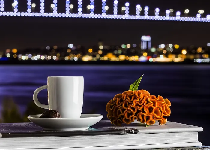 Hotell Bosphorus Palace 4*