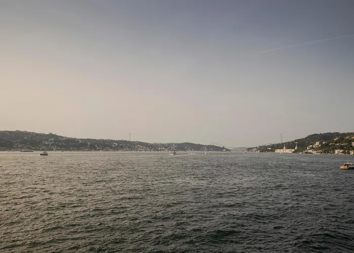 酒店 博斯普鲁斯宫酒店 伊斯坦布尔