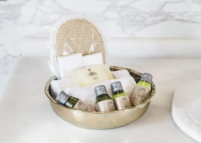 博斯普鲁斯宫酒店 4* 伊斯坦布尔