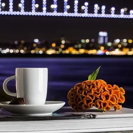 فندق بوسفوروس بالاس هوتل 4*